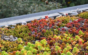 the cost of Nobold green roof installation