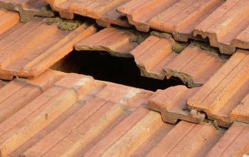 roof repair Nobold, Shropshire